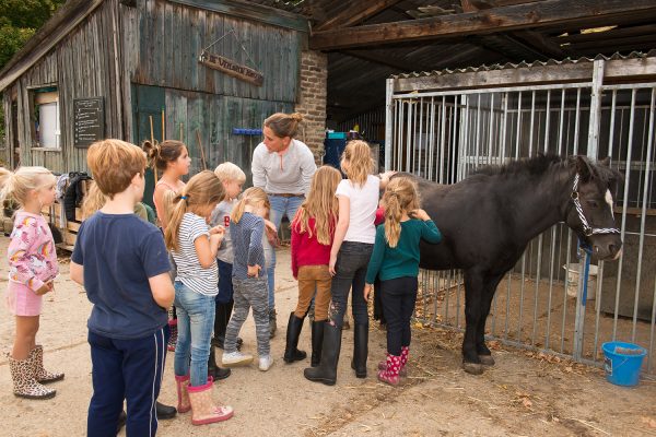 Ponyclub uitleg verzorging paard door Annemarie De Verloren Kost Gulpen Zuidlimburg