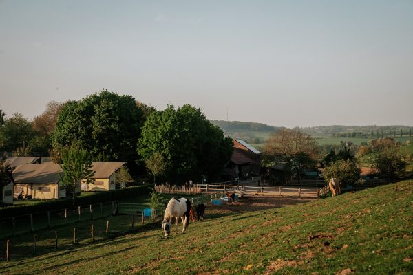 De Verloren Kost Gulpen luxe paardenvakantie glamping DSC01625