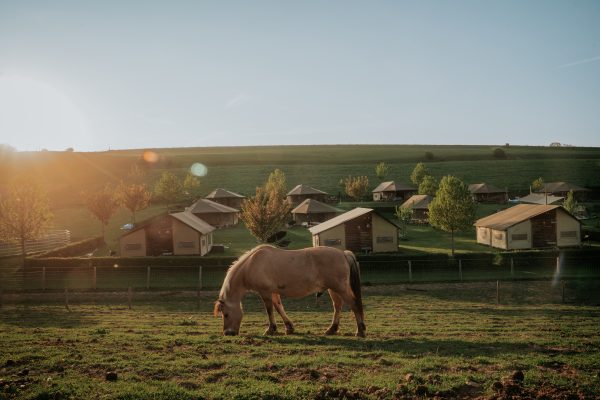 De Verloren Kost Gulpen paardenvakantie DSC01670