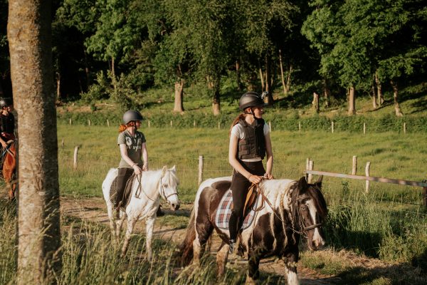 De Verloren Kost Gulpen paardrijden manege DSC06845